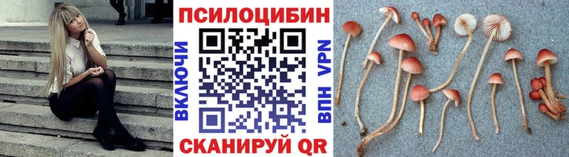 что такое наркотик  Княгинино  Псилоцибиновые грибы Cubensis 